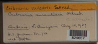 Image Associated With the Occurence